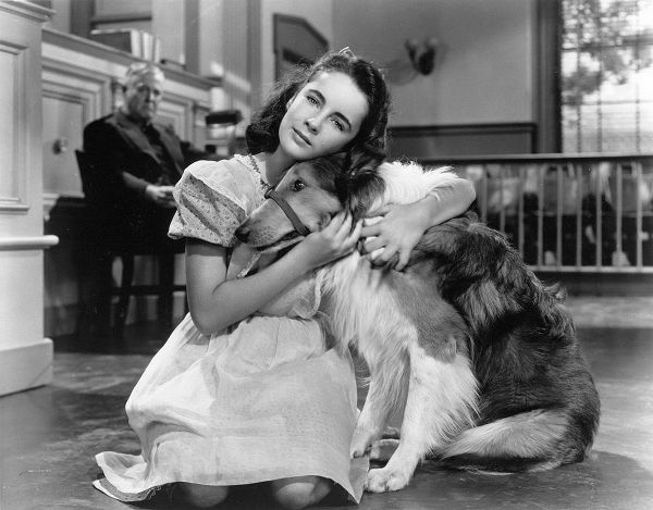Elizabeth Taylor wih Lassie