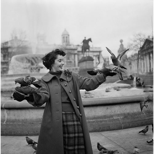 Elizabeth Taylor with pigeons