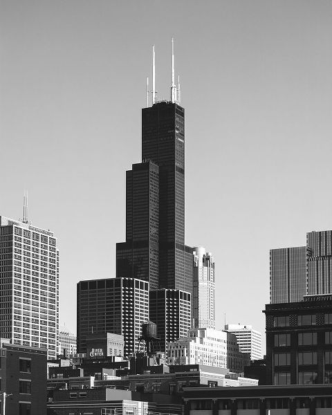 Sears Tower Chicago Illinois