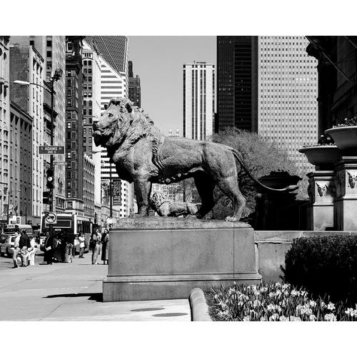 Edward Kemeys guardian lions stand before the Art Institute of Chicago Illinois