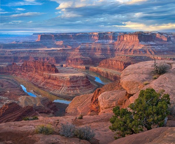 Fitzharris, Tim 작가의 Colorado River from Deadhorse Point, Canyonlands National Park, Utah 작품