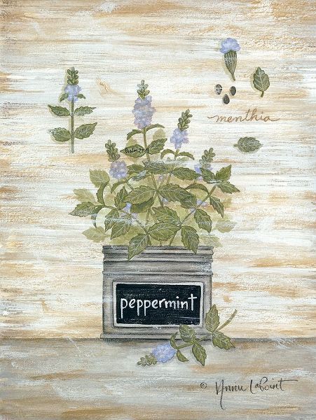 Peppermint Botanical