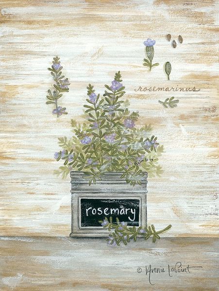 Rosemary Botanical