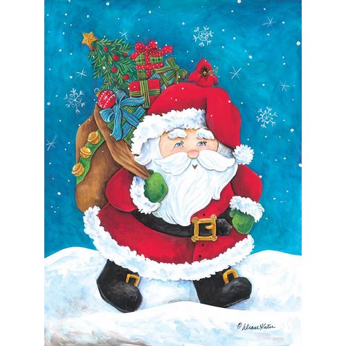 Santa Claus with Sack of Presents