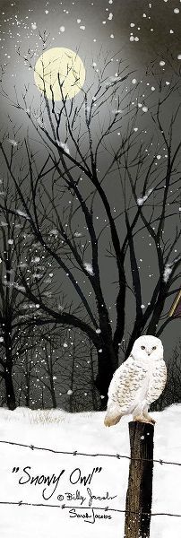 Jacobs, Billy 아티스트의 Snowy Owl작품입니다.
