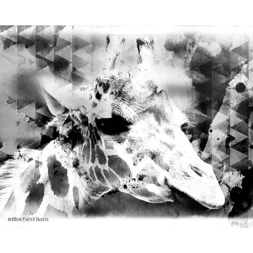 Modern Black &amp; White Giraffe