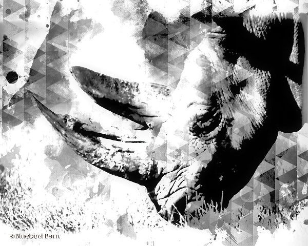 Modern Black &amp; White Rhino