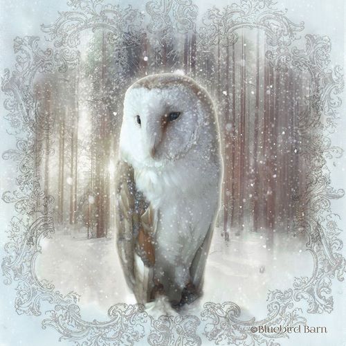 Enchanted Winter Owl