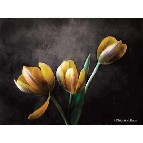 Contemporary Floral Tulips