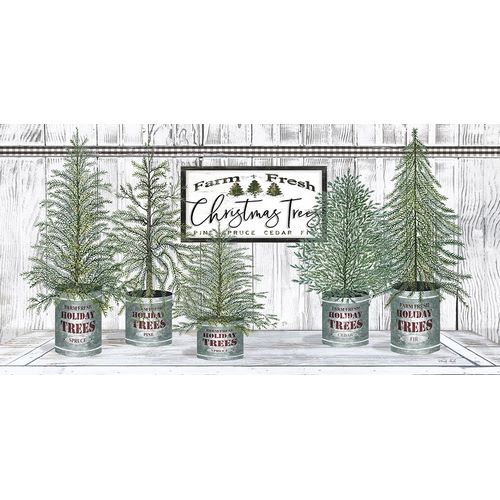 Galvanized Pots White Christmas Trees II