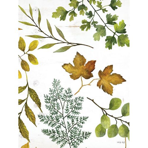 Leaf Patterns II