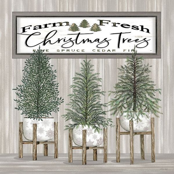 Jacobs, Cindy 아티스트의 Potted Christmas Trees 작품