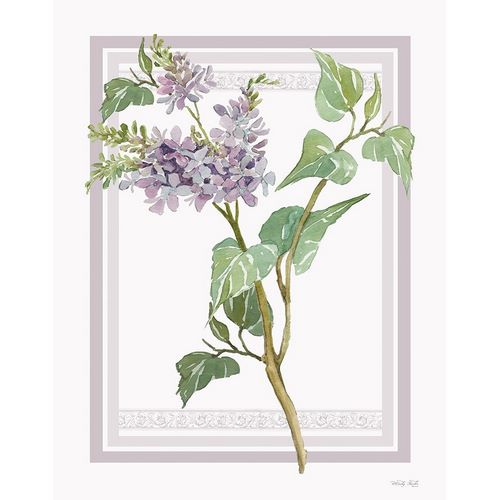 Lilacs V