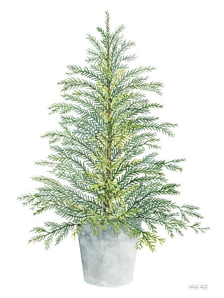 Jacobs, Cindy 아티스트의 Spruce Tree in Pot 작품