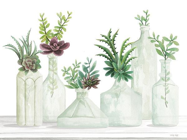 Jacobs, Cindy 아티스트의 Succulent Bottles 작품