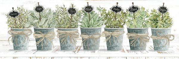 Jacobs, Cindy 아티스트의 Herbs in a Row 작품