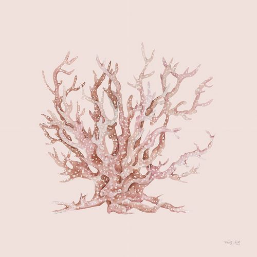 Jacobs, Cindy 아티스트의 Pink Coral II 작품