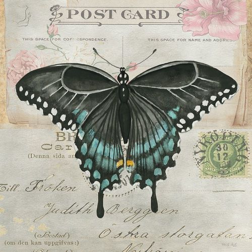 Jacobs, Cindy 아티스트의 Postcard Butterfly III작품입니다.