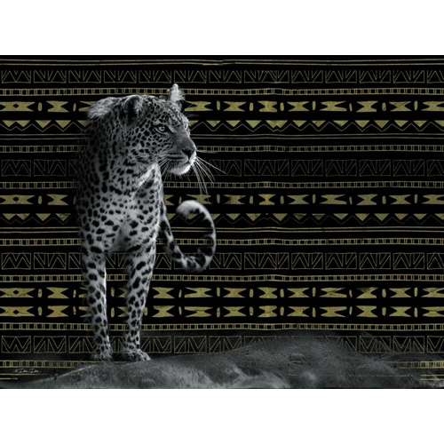 Patterned Leopard