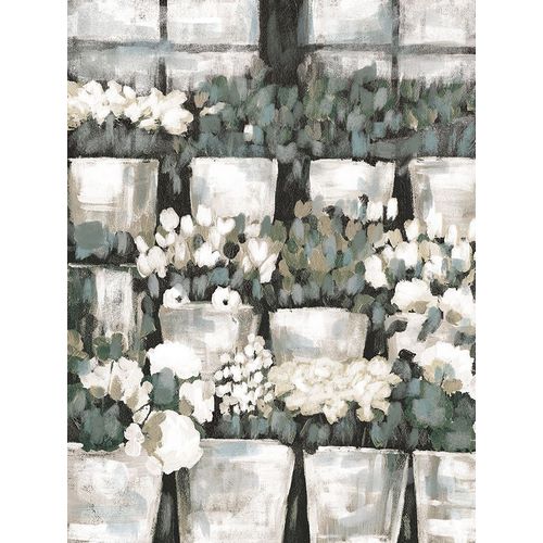 Rows of Flowers