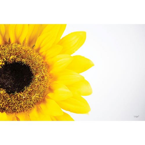 Quillen, Donnie 아티스트의 Sunflower Close-up 작품