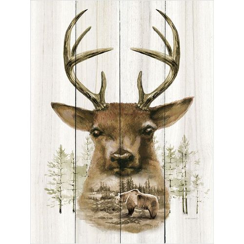 Deer Wilderness Portrait