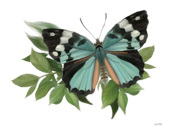 Botanical Butterfly Common Gem