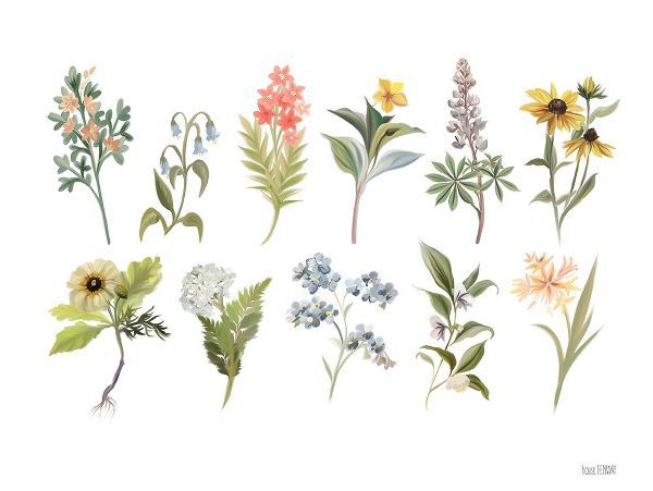 House Fenway 아티스트의 Spring Botanicals작품입니다.