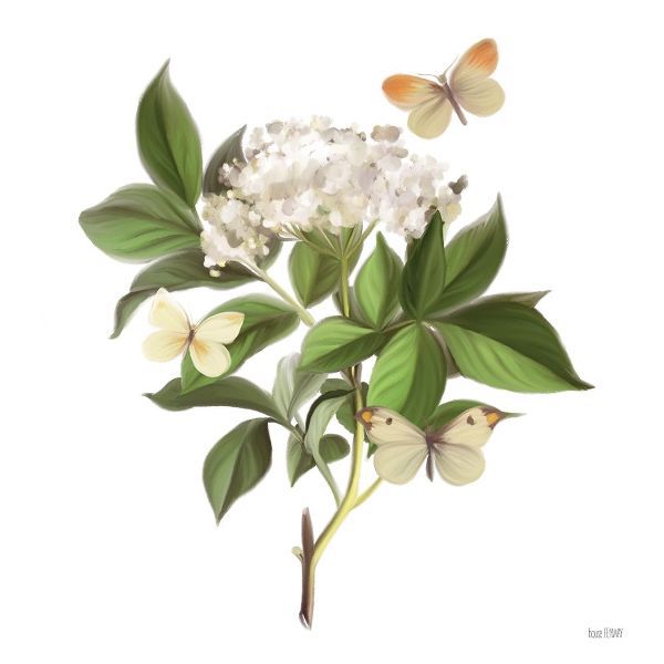 House Fenway 작가의 Wildflowers and Butterflies II 작품