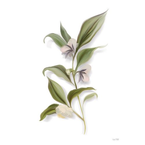 House Fenway 아티스트의 White Blossom Botanical작품입니다.