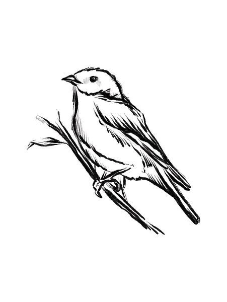 House Fenway 아티스트의 Songbird Sketch II작품입니다.