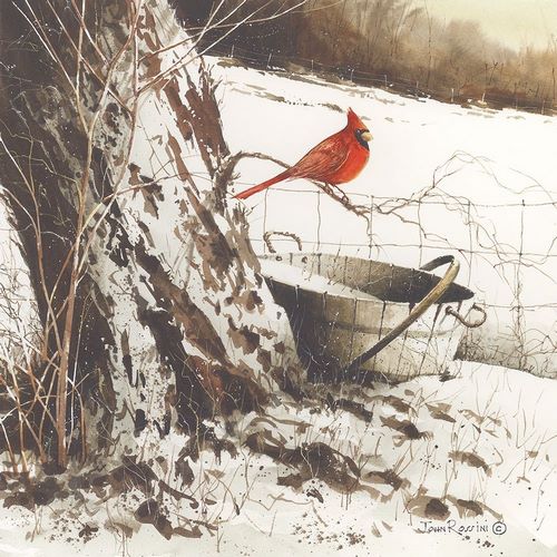 Country Cardinal