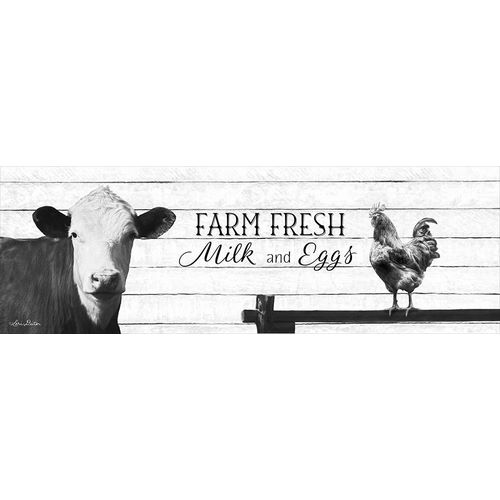 Farm Fresh Milk and Eggs