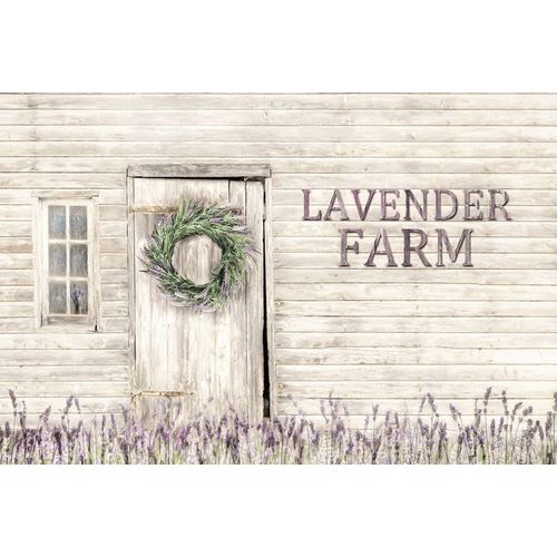 Deiter, Lori 아티스트의 Lavender Farm 작품