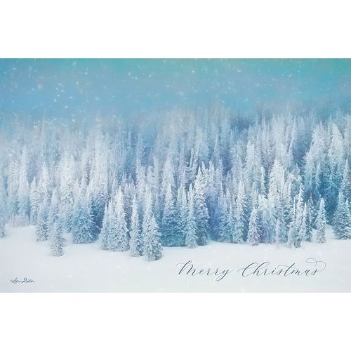 Deiter, Lori 아티스트의 Snowy Turquoise Forest      작품