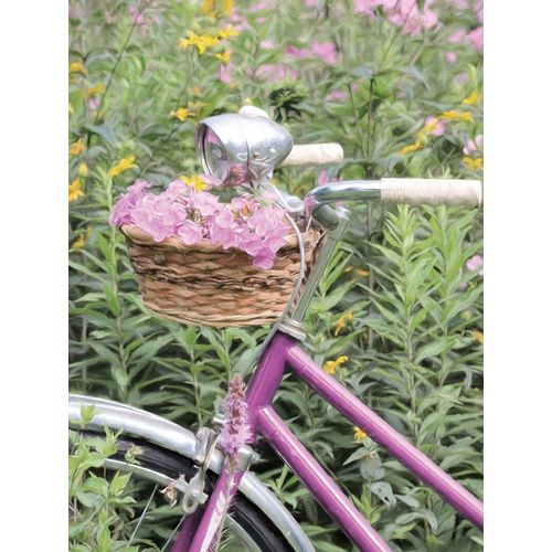 Pink Garden Bike