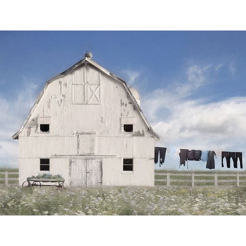 Deiter, Lori 아티스트의 Amish Laundry 작품