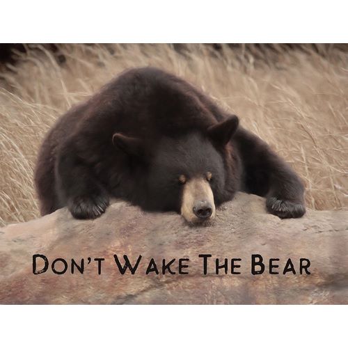 Deiter, Lori 아티스트의 Dont Wake the Bear 작품