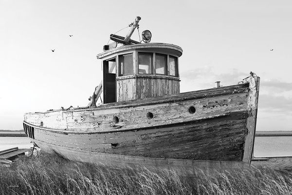This Old Boat I