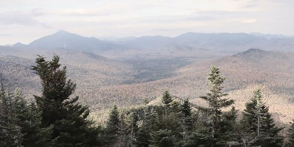 Deiter, Lori 아티스트의 Adirondack Mountains 1작품입니다.