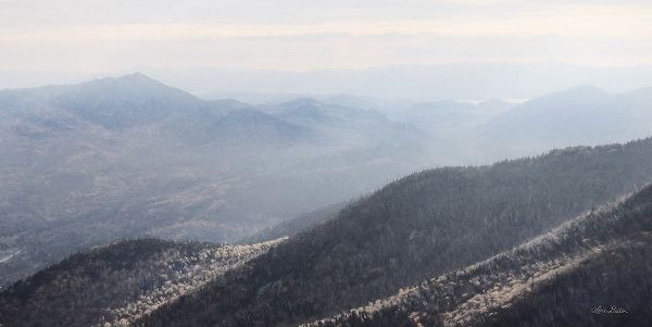 Deiter, Lori 아티스트의 Adirondack Mountains 2 작품