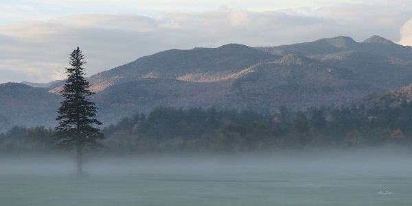 Deiter, Lori 아티스트의 Adirondack Misty Morning 작품