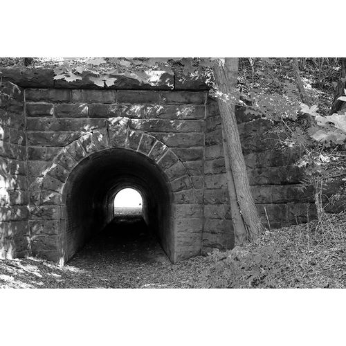 Deiter, Lori 아티스트의 Juniata Tunnel 작품