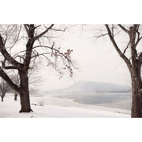 Deiter, Lori 아티스트의 Snowy Susquehanna   작품