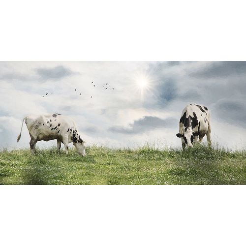 Deiter, Lori 아티스트의 Grazing Dairy Cattle 작품