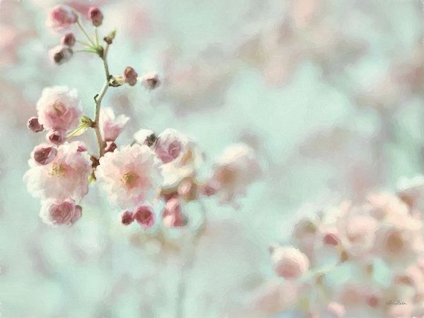 Deiter, Lori 아티스트의 Pastel Weeping Cherry Blossom I작품입니다.