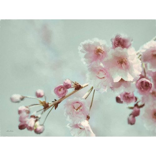 Deiter, Lori 아티스트의 Pastel Weeping Cherry Blossom II작품입니다.
