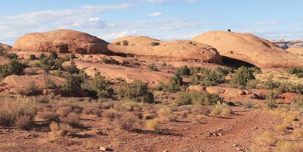Deiter, Lori 아티스트의 Moab Sand Flats I작품입니다.