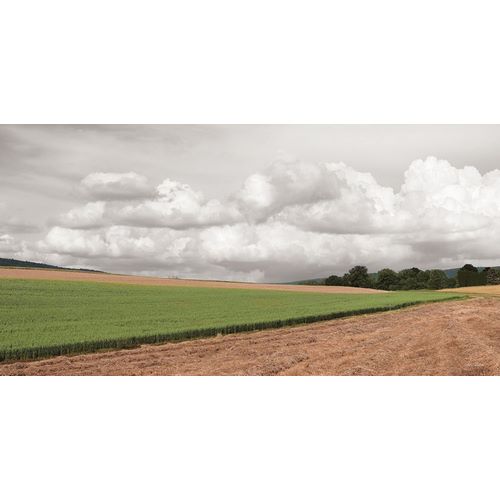 Deiter, Lori 아티스트의 Country Storm Clouds작품입니다.