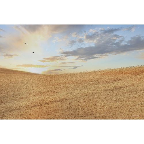 Deiter, Lori 아티스트의 Amber Waves of Grain at Sunrise작품입니다.